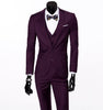 Slim Fit Business a Three-Piece Suit